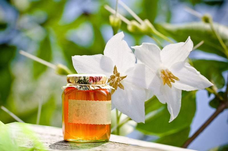 GIỚI THIỆU MẬT ONG BỒ ĐỀ HOA